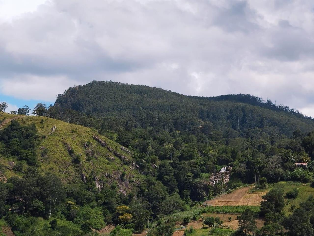 Rose Dale Homestay Елла Екстер'єр фото