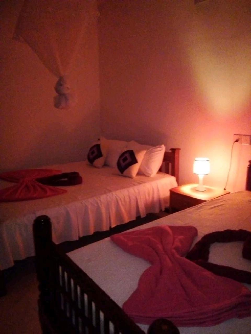 Rose Dale Homestay Елла Екстер'єр фото